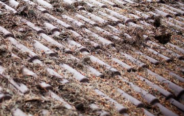 Dunsby roof cleaning companies