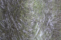 Dunsby fibreglass roof work